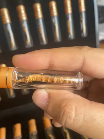 Кордицепс Синенсис 10гр, фотография 2