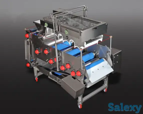 Ленточные пресса для фруктов разной производительности, фотография 1