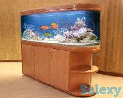 Изготовление аквариумов любой сложности, фотография 2
