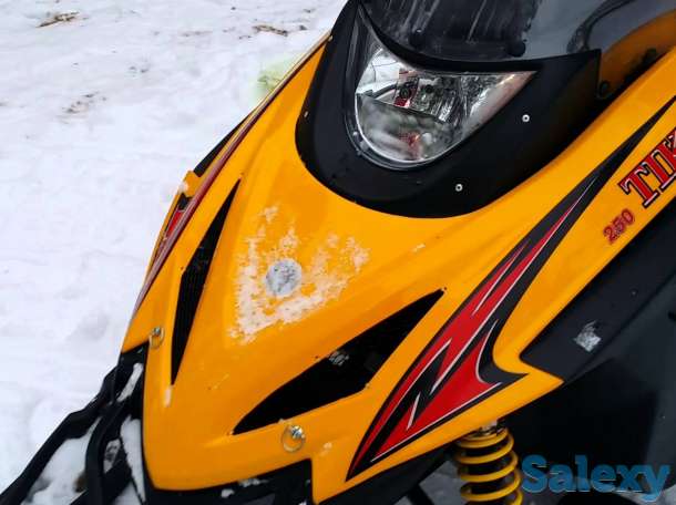 Снегоход Тикси 250 Люкс, фотография 5
