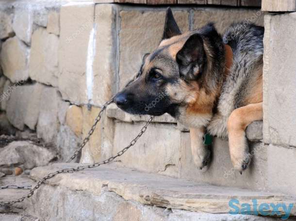 требуется сторож, фотография 1