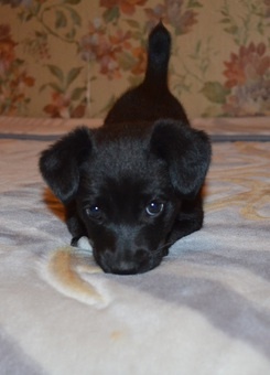 Дарю, фотография 3