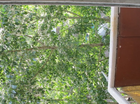 Продам 2ух комнатн ул.Казахстан 126, фотография 6