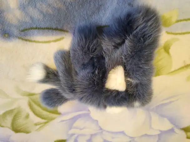 Продам шубу норкувую натуральная,  платья, шапку песцовую., фотография 2