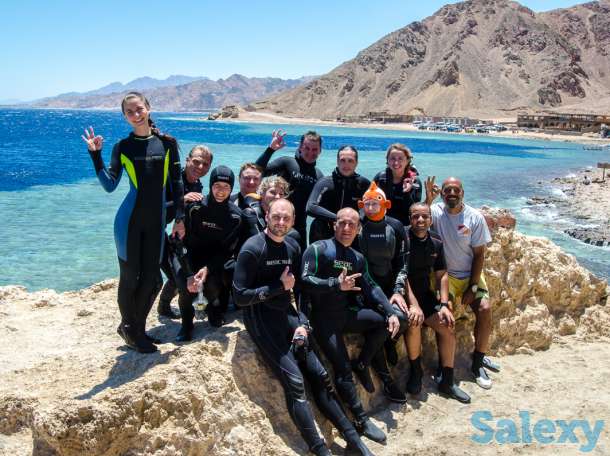 Дайвинг-тур на Красное море, Дахаб. Сентябрь 2019, фотография 3