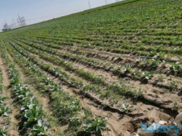 Продам землю, 4 км от Капчигайской трассы, фотография 1