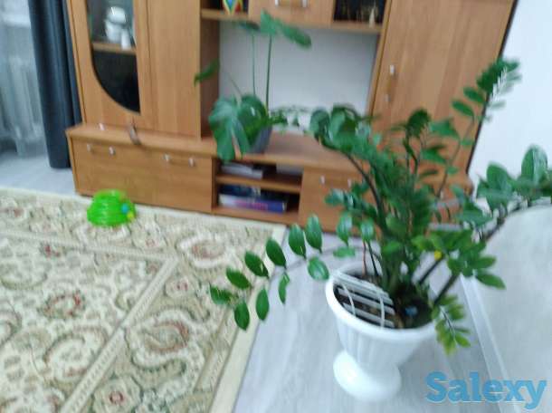 Продам  детскую стенку и стенку горку, фотография 1