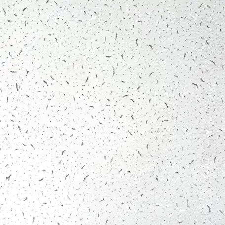 Влагостойкий подвесной потолок Армстронг, фотография 6