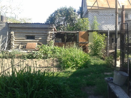 коттедж с большим земельным участком, Плодоовощной Чапаева 5, фотография 4