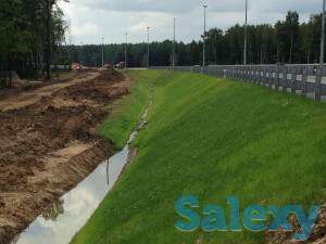 Газон многолетний, фотография 2