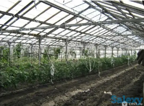 Теплица под ключ, фотография 1