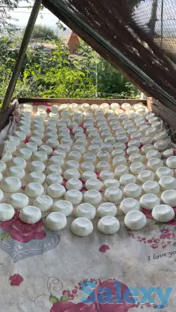 Домашнее сливочное масло, курт, фотография 1