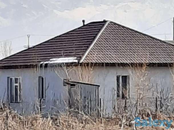 50 соток КХ Кошмамбет, фотография 6