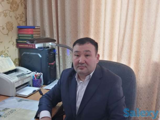 Адвокат профессионал., фотография 1