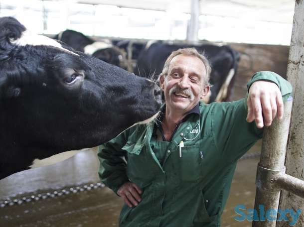 Доряы/скотники ВАХТА в Краснодарский край, фотография 1