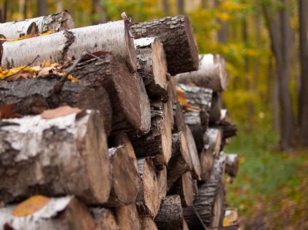 Дрова яблоня и карагач с доставкой, фотография 1