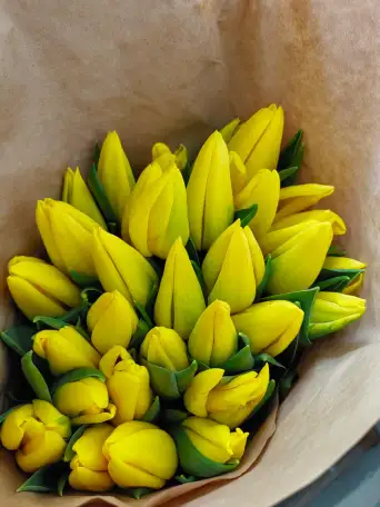 Тюльпаны оптом и в розницу к 8 марта, фотография 2