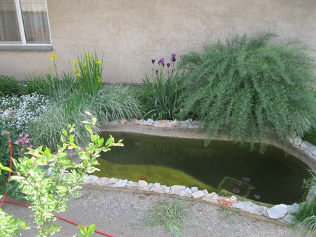 дом времянка гараж, п.боролдай ул.тынышбая 37а, фотография 5