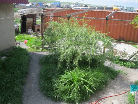 дом времянка гараж, п.боролдай ул.тынышбая 37а, фотография 6