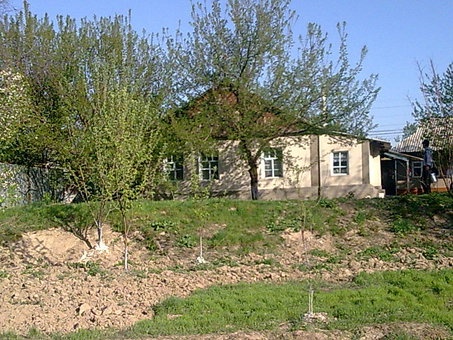 продается добротный дом, фотография 2