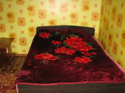 1 комн.кв кжби посуточно, 55 магазин, фотография 5