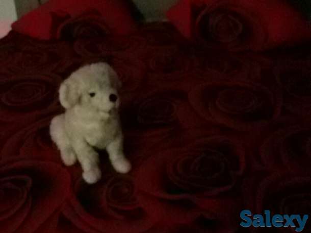 Аренда посуточно в г.Астрахань, фотография 2