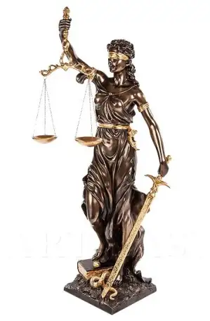 Адвокат, фотография 8