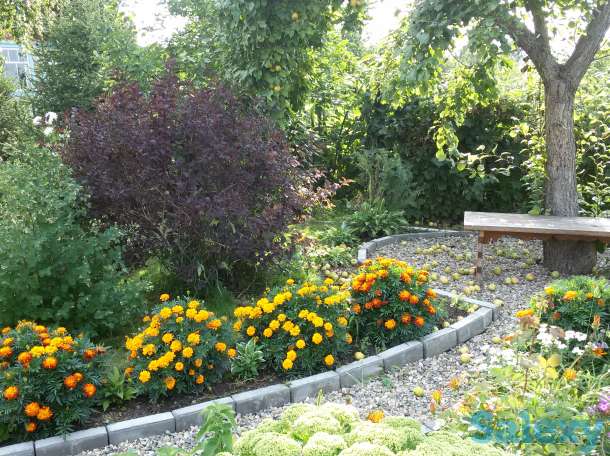 Продам дачу с хорошим дизайном, 10 сот, в р-не телевышки в с/о 