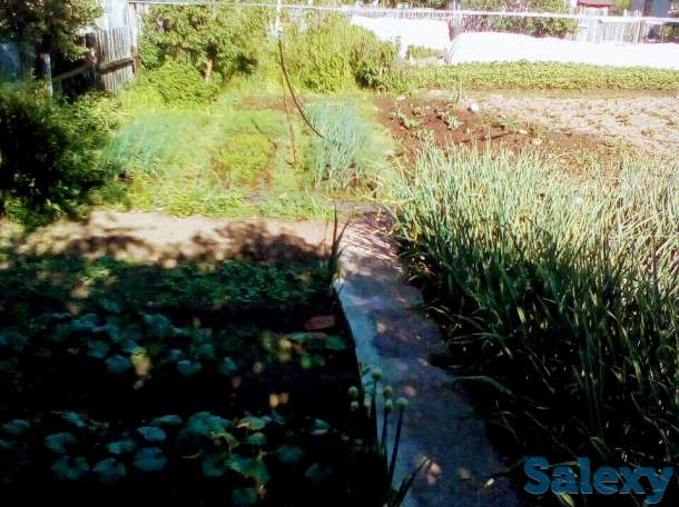 Продам двухэтажную дачу в живописном месте, Город Риддер, Ульбастрой., фотография 9