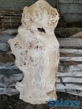 Слэбы от производителя из дуба, шпальтового бука, капового тополя, вербы, капового карагача, ясеня., фотография 14