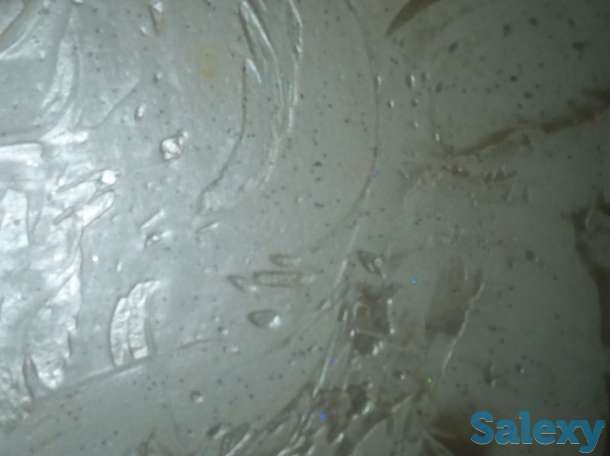 Леонардо, фотография 1