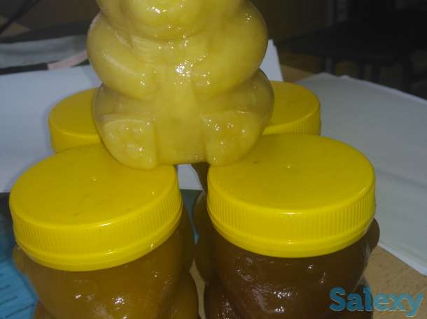 продам мед, прополис, воск, фотография 1