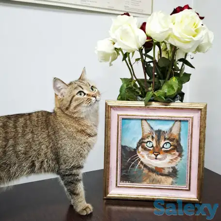 Напишу живописный портрет вашего питомца или вас вместе!, фотография 3