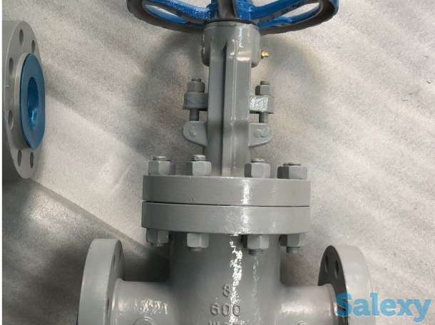Задвижки клиновые GATE VALVE API 600, 602 6D standard, фотография 5