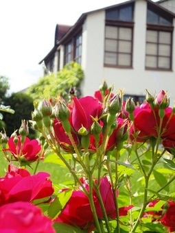 Продаётся коттедж, р-он Ст. Аэропорта, фотография 7