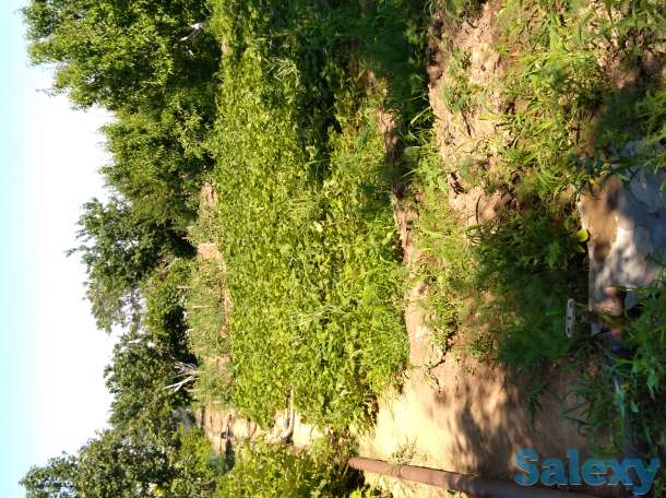 Продам дачу, фотография 3