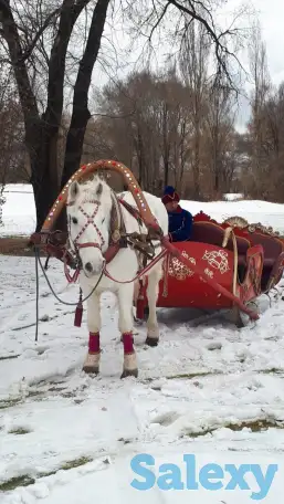 Сани. Дед Мороз на санях, фотография 4
