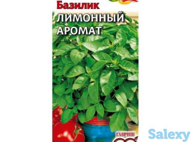 Семена Базилик Лимонный аромат, фотография 1
