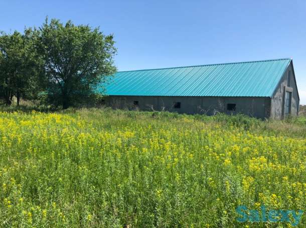 Участок в Талгаре 3,6 га, фотография 4