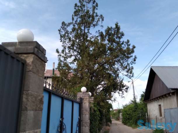 Дача в аренду.  Иссык., фотография 2