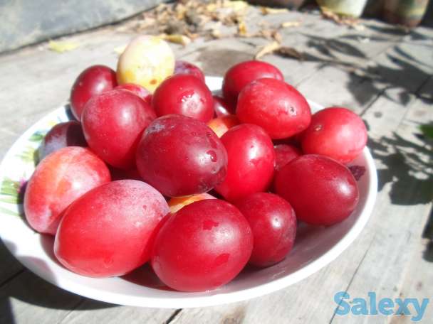 Продается Дом-Мечта, Интернациональная, 30, фотография 12