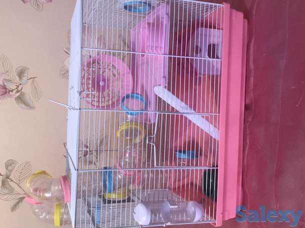 Продам клетка для хомяков 2 -этажный +подарок, фотография 1