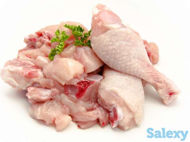 Мясо курицы оптом, фотография 1