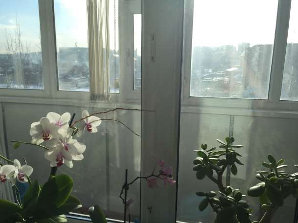 Продам либо обменяю 3-х комнатную квартиру , Ыкылас Дукенулы, фотография 7