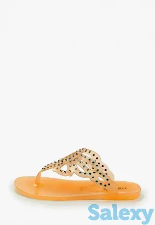 Сланцы t.taccardi, фотография 1