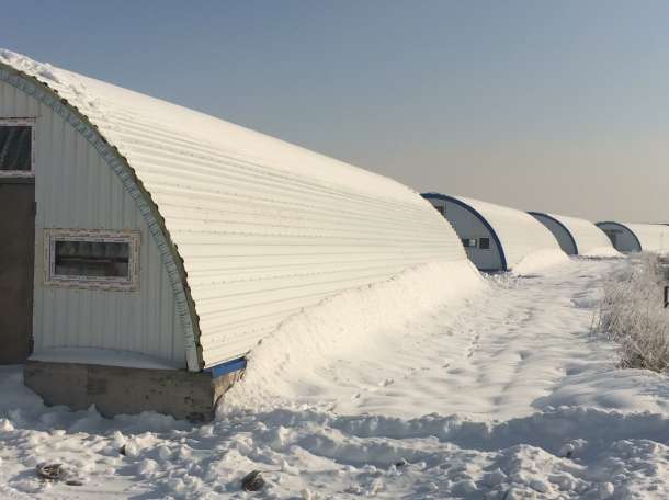 Строительство бескаркасных ангаров под СТО, фотография 1