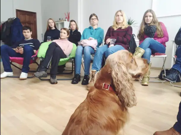 Ищу Выгульщика Собак, фотография 3