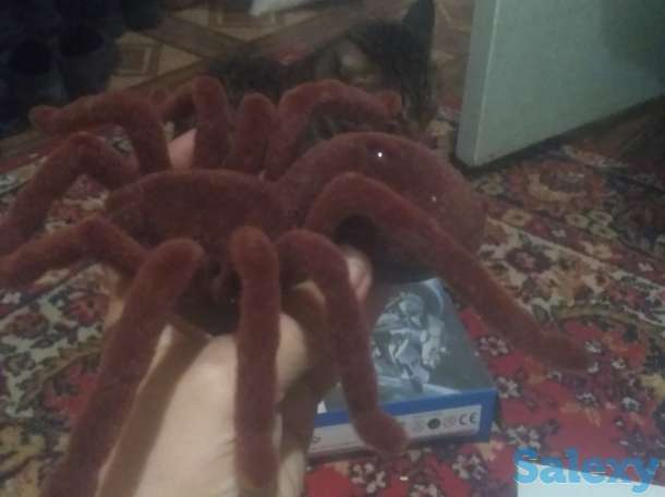 Продам паука на пульте управления, фотография 2