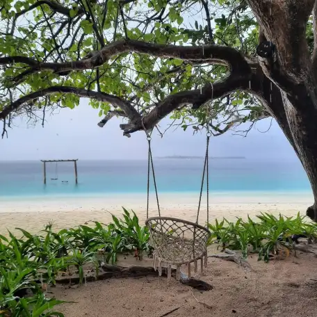 Новый2026 год Огненной Лошади   ТВОЯ НОВАЯ ЖИЗНЬ!, фотография 2