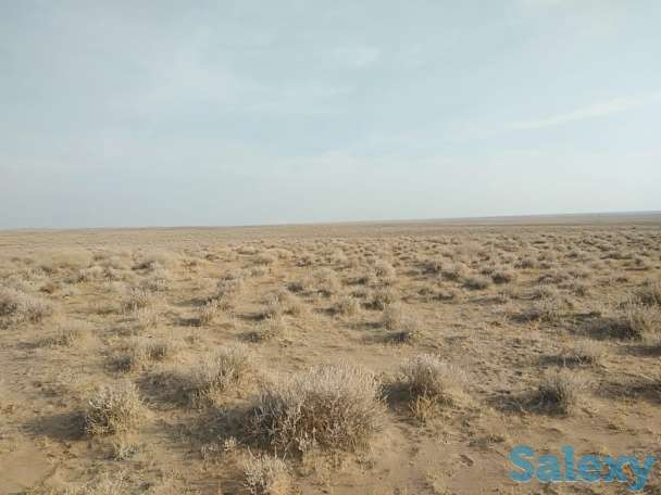 Срочно продам земельный участок, Посёлок Каншенгель, фотография 3